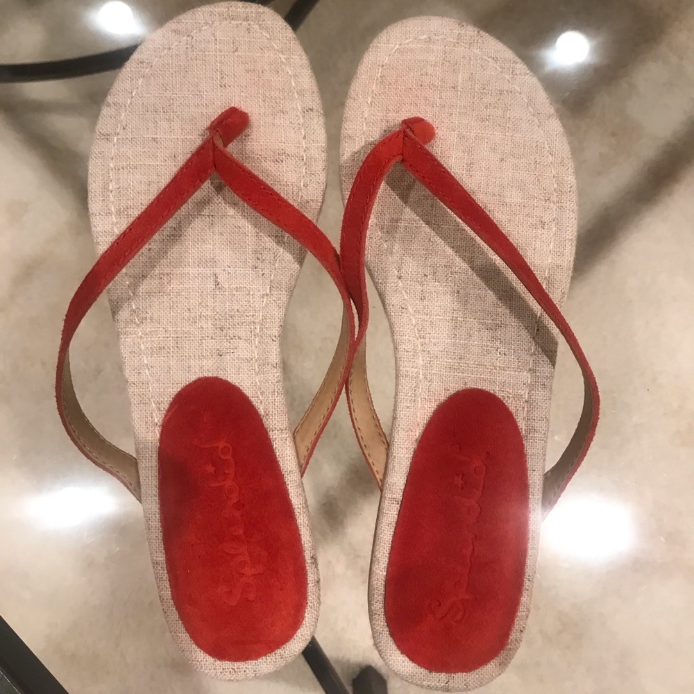 Splendid flip flops
